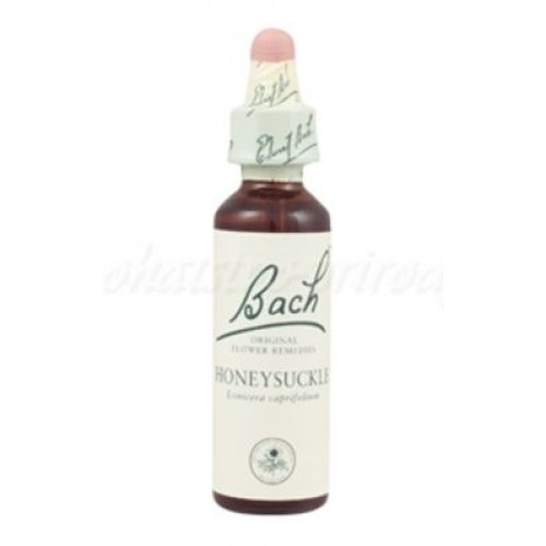 Honeysuckle - Zimolez kozí list 20 ml - bachove kvapky