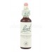 Honeysuckle - Zimolez kozí list 20 ml - bachove kvapky