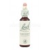 Impatiens - Netýkavka žľazonosná 20 ml - bachove kvapky Impatiens - Netýkavka žľazonosná 20 ml - bachove kvapky