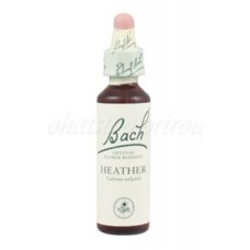 Heather - Vres škótsky 20 ml - bachove kvapky