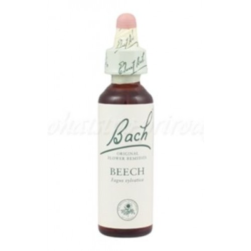 Beech - Buk lesný 20 ml - bachove kvapky