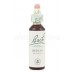 Beech - Buk lesný 20 ml - bachove kvapky