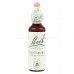 Centaury - Zemežlč lekárska 20 ml - bachove kvapky