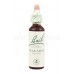 Crab Apple - Jabloň planá 20 ml - bachove kvapky