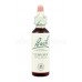 Vervain - Železník lekársky 20 ml - bachove kvapky